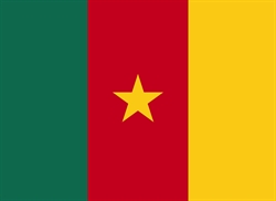 [ai] The national flag of Cameroon, featuring three vertical stripes in green, red, and yellow, with a five-pointed yellow star in the center of the red stripe.